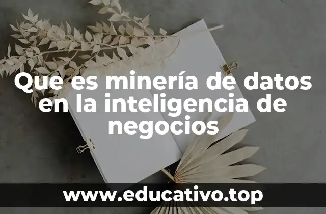 Que es minería de datos en la inteligencia de negocios