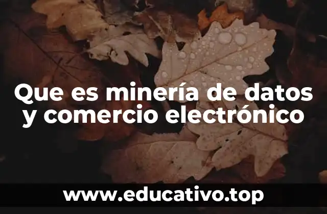 Que es minería de datos y comercio electrónico