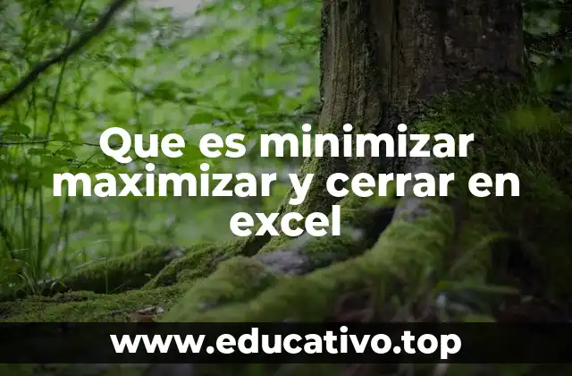 Cómo gestionar ventanas en Excel sin mencionar directamente las acciones