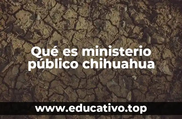 El papel del ministerio público en la justicia estatal