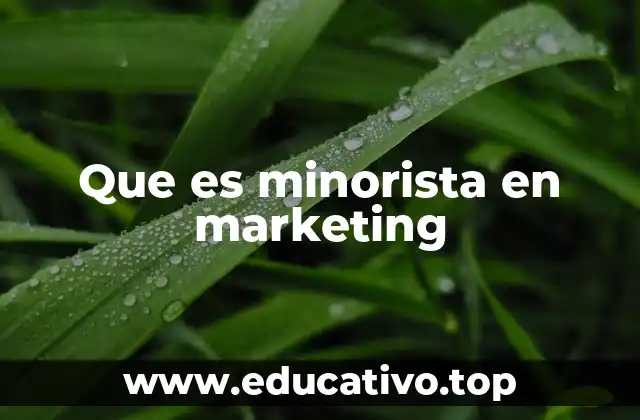 Que es minorista en marketing