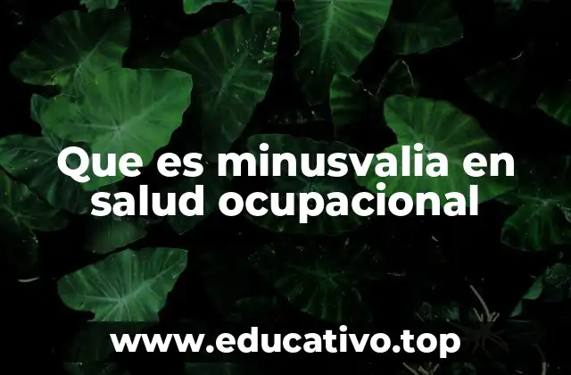 Que es minusvalia en salud ocupacional