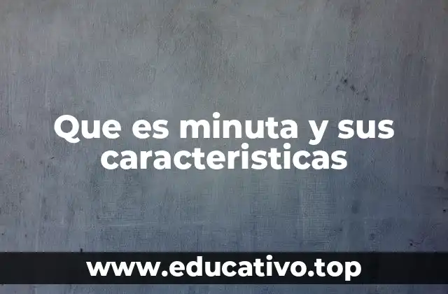 Que es minuta y sus caracteristicas