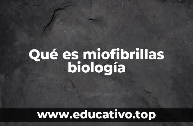 Qué es miofibrillas biología