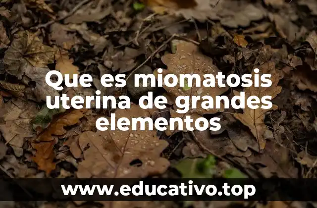 Que es miomatosis uterina de grandes elementos