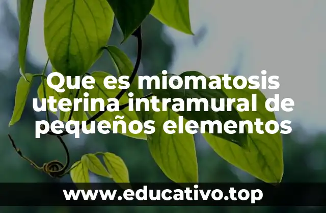 Que es miomatosis uterina intramural de pequeños elementos