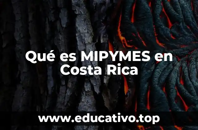 El papel de las MIPYMES en la economía costarricense