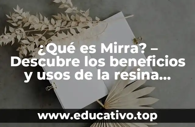 ¿Qué es Mirra? – Descubre los beneficios y usos de la resina milagrosa