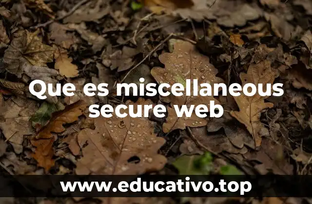 Que es miscellaneous secure web