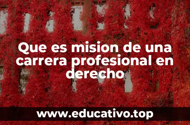 Que es mision de una carrera profesional en derecho
