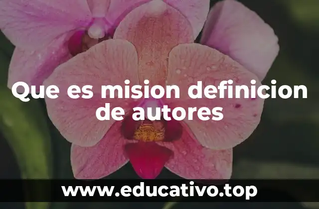 Que es mision definicion de autores