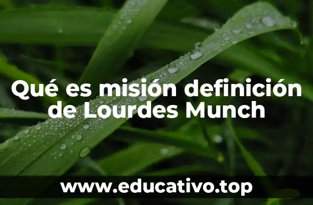 Qué es misión definición de Lourdes Munch
