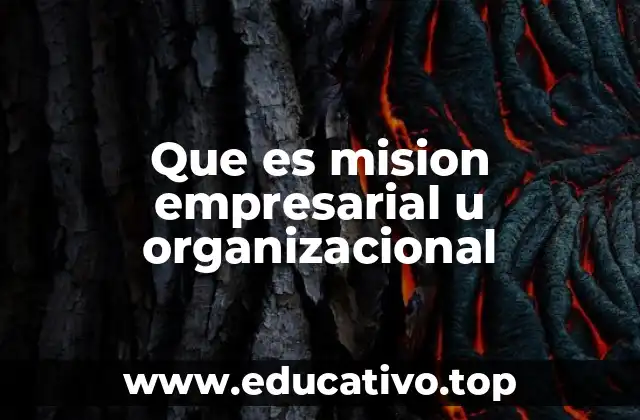 Que es mision empresarial u organizacional