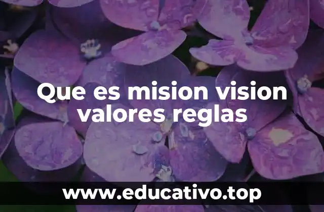 Que es mision vision valores reglas