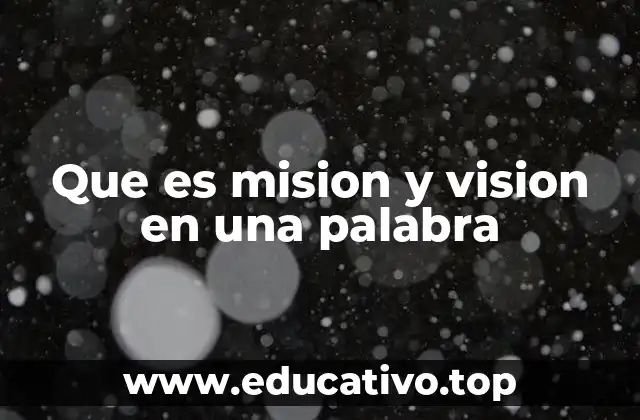 Que es mision y vision en una palabra