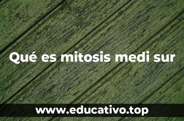 Qué es mitosis medi sur