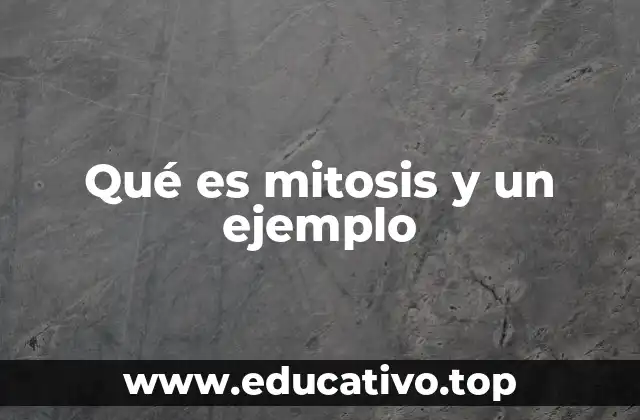 Qué es mitosis y un ejemplo