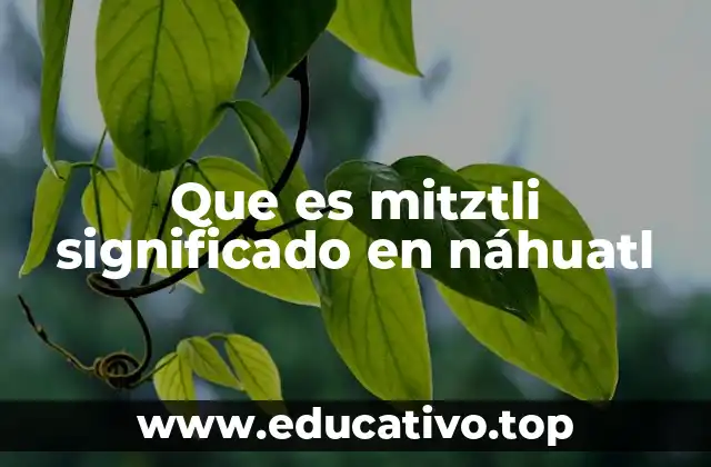 Que es mitztli significado en náhuatl