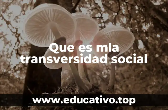 Que es mla transversidad social