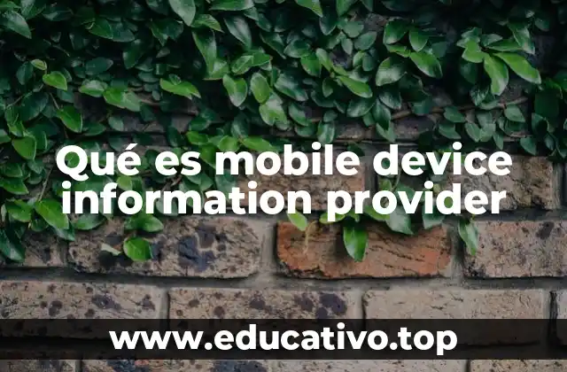 Qué es mobile device information provider