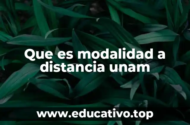 Que es modalidad a distancia unam