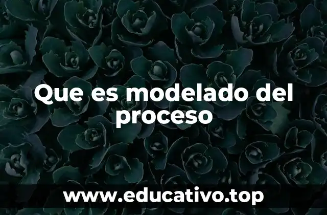Que es modelado del proceso
