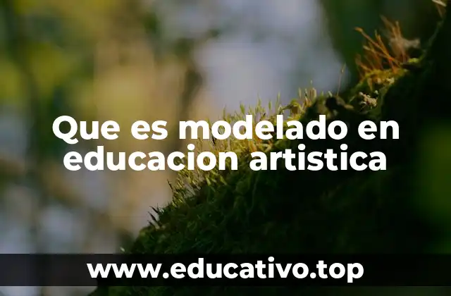 Que es modelado en educacion artistica