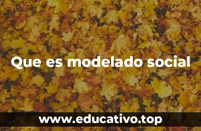 Que es modelado social