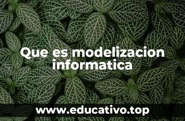 Que es modelizacion informatica
