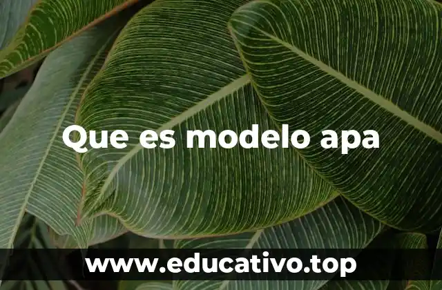 Que es modelo apa
