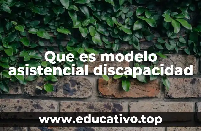 Que es modelo asistencial discapacidad