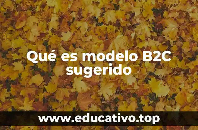 Qué es modelo B2C sugerido