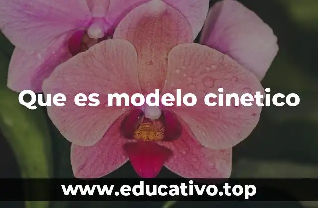 Que es modelo cinetico