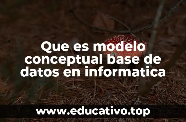 Que es modelo conceptual base de datos en informatica