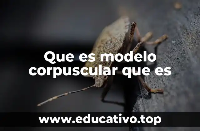 Que es modelo corpuscular que es