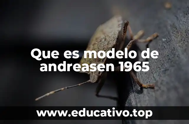 Que es modelo de andreasen 1965