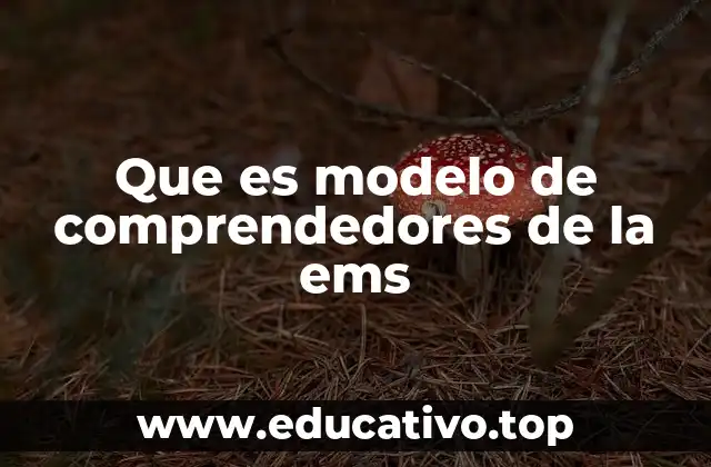 Que es modelo de comprendedores de la ems