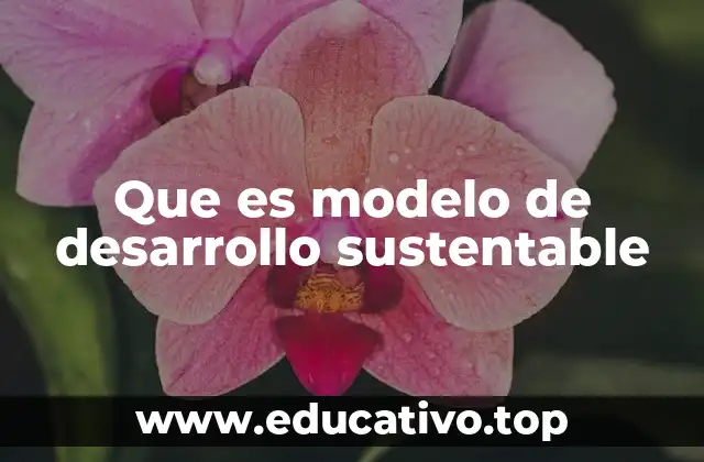 Que es modelo de desarrollo sustentable