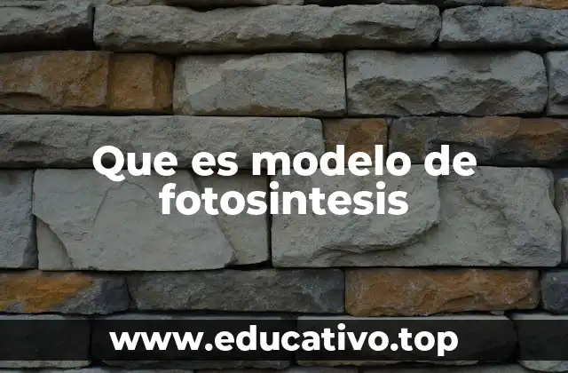 Que es modelo de fotosintesis