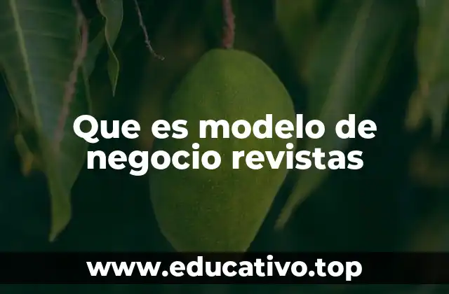 Que es modelo de negocio revistas