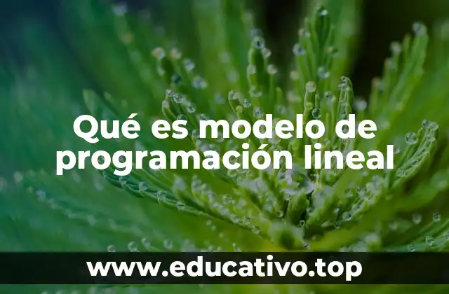 Qué es modelo de programación lineal