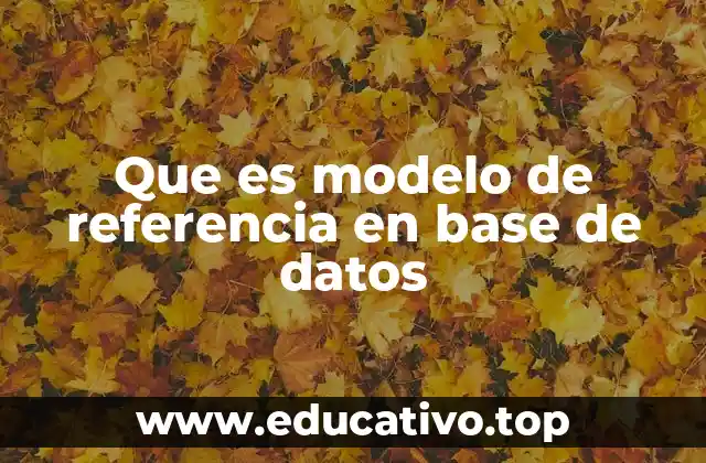 Que es modelo de referencia en base de datos