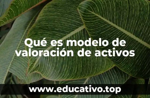 Qué es modelo de valoración de activos