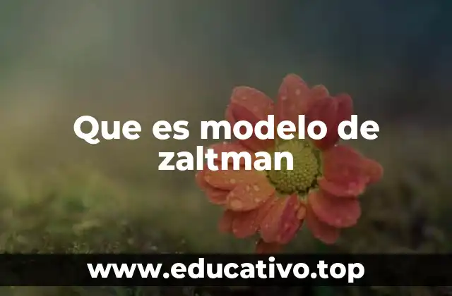 Que es modelo de zaltman