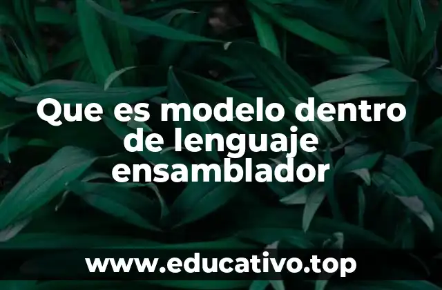 Que es modelo dentro de lenguaje ensamblador