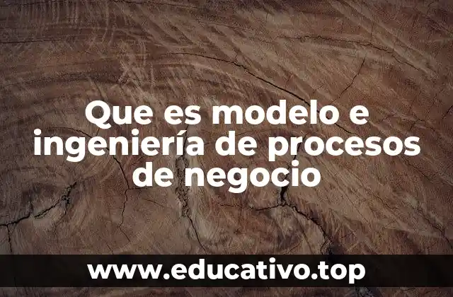 Que es modelo e ingeniería de procesos de negocio