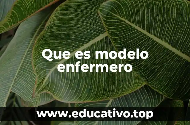 Que es modelo enfermero