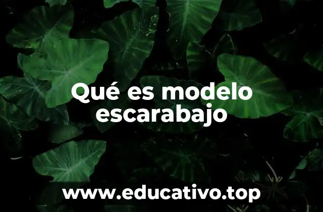 El legado del escarabajo en la cultura automotriz