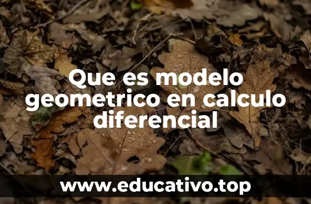 Que es modelo geometrico en calculo diferencial