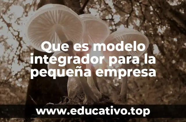 Que es modelo integrador para la pequeña empresa